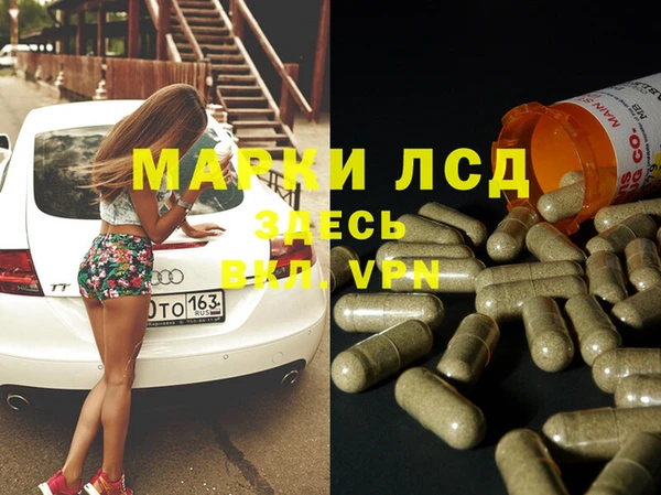 ГАЛЛЮЦИНОГЕННЫЕ ГРИБЫ Костерёво