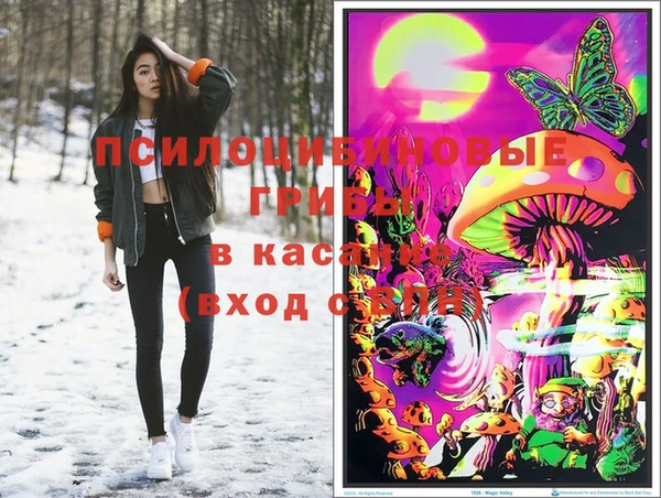 ALPHA PVP Краснослободск