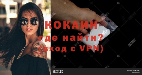 гашик Корсаков