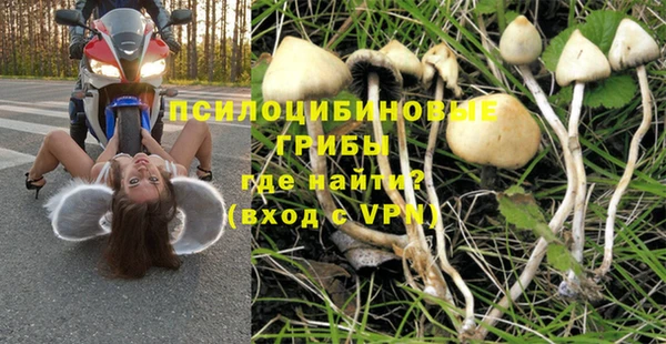 ALPHA PVP Краснослободск