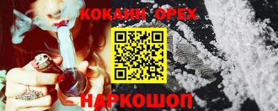 гидропоника Гатчина