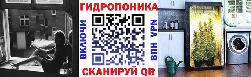 Бошки марихуана марихуана  наркотики  Острогожск 